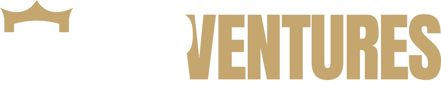 VIP Ventures